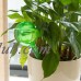 Girl12Queen House/Garden Water Houseplant Plant Pot Bulb Automatic Self Watering Device   